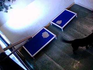 "Lap of Luxury" Pet Resort