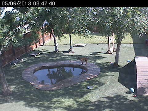 Webcam in United States