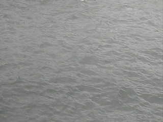 Florida Manatees (Webcam Offline)