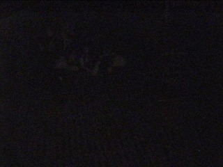 Peter's farm webcam