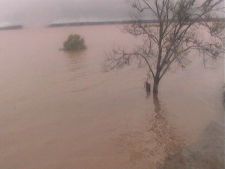  	Lake view at the OU Biological Station, Lake Texoma 