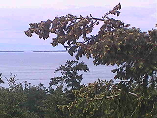 Highland Inn Overlooking Haro Strait & Strait of Juan de Fuca