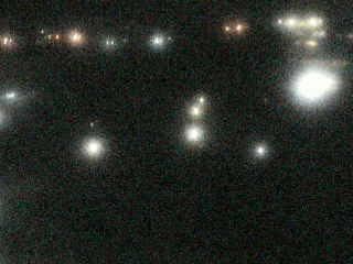 University of South Florida