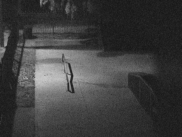 Parking Cam