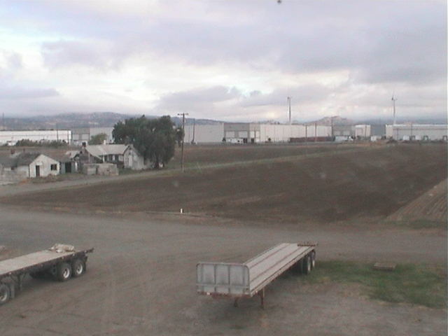 Ameri-Turf California