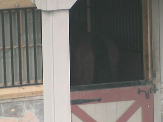 Riding Stables Cam