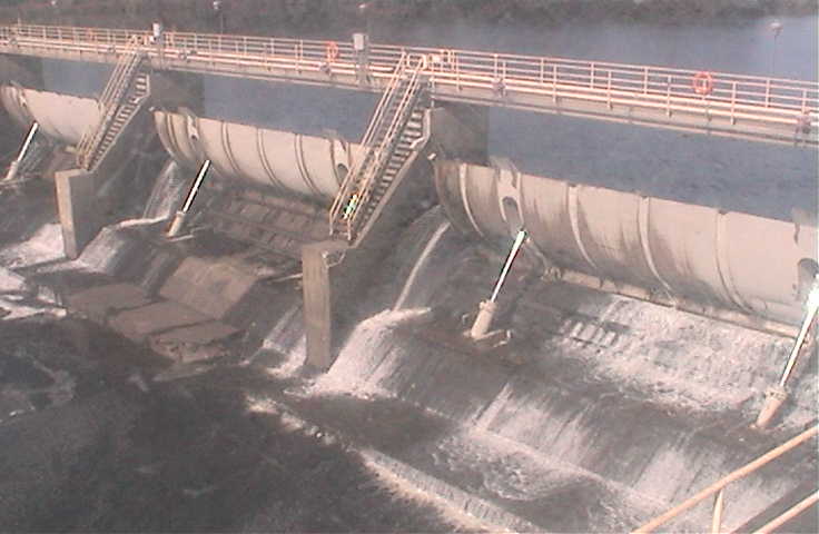 Coleman Pond Dam