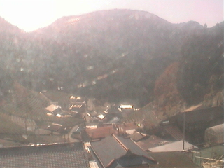 Umegashima Tea Plantation