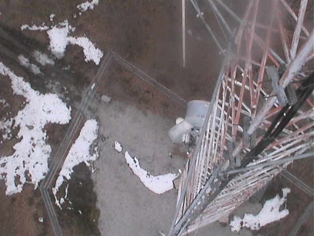Chickaree Mountain Tower Cam