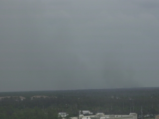View of Naples from Collier County Government Building