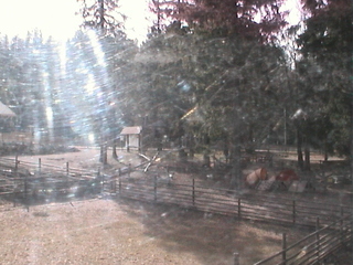 Naturpark Hohe Wand