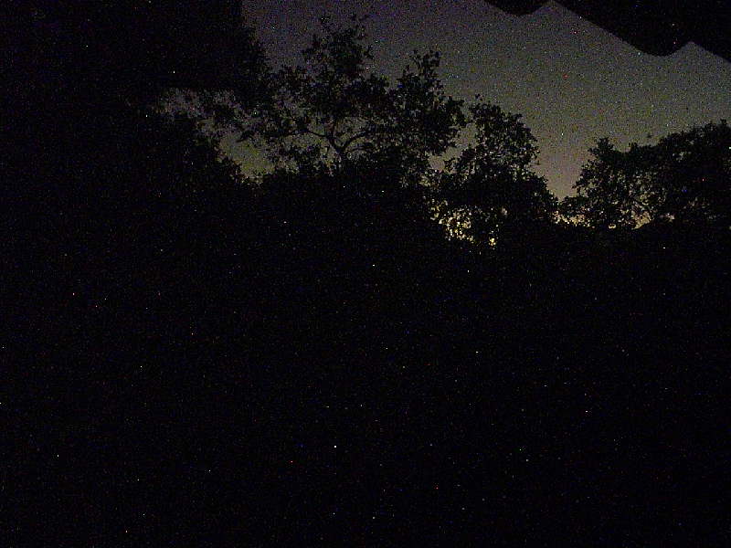 Home Security Cam