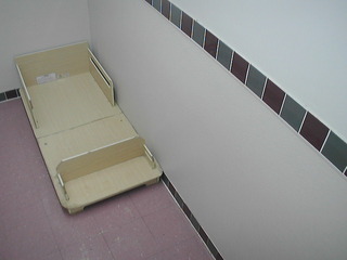 Kennel Cam