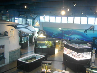 Cabrillo High School Aquarium