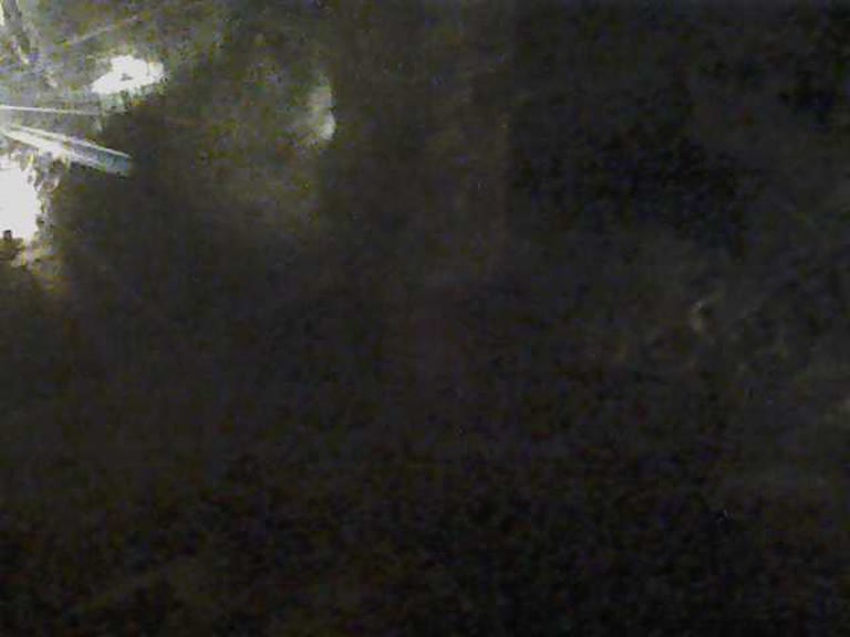 Porch Cam