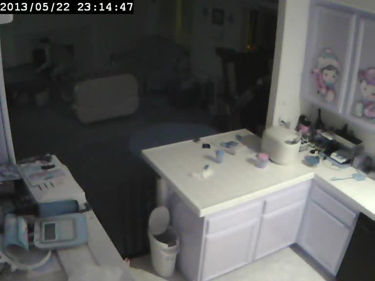 Kitchen/Living Room Cam
