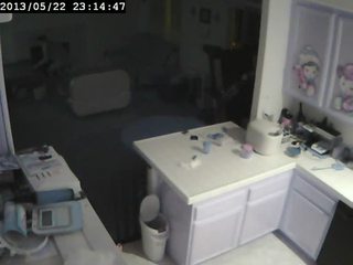 Kitchen/Living Room Cam