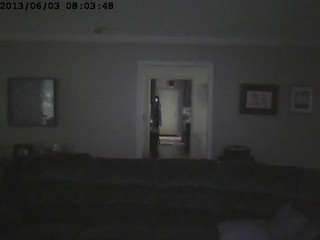 Living Room Cam