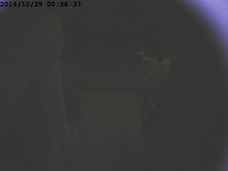 Exit Cam