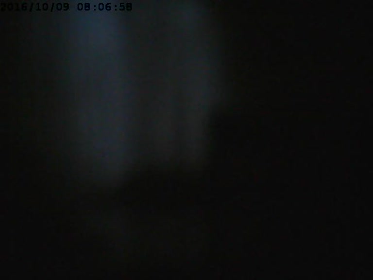 Security Cam