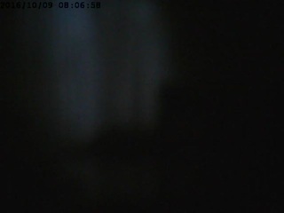 Security Cam