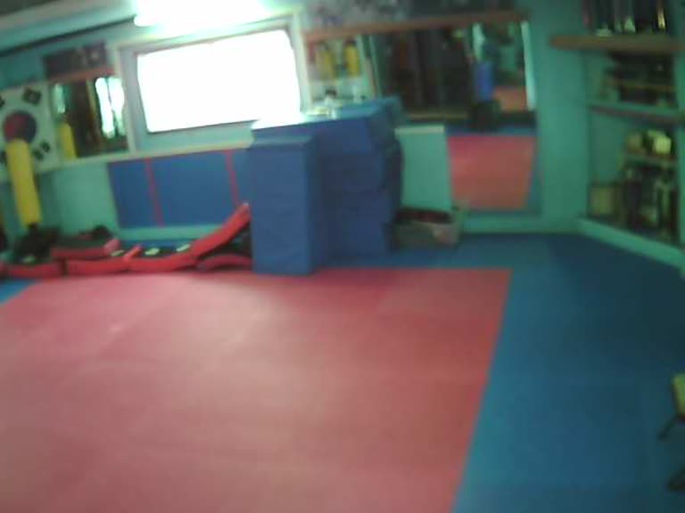 Dojo