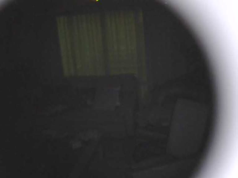 Living Room Cam
