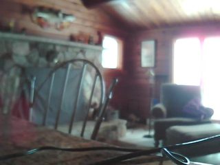 Cabin Cam