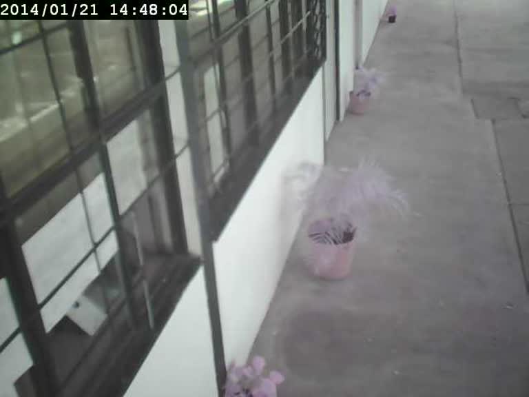 Webcam in Mexico,Mexico