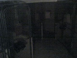 Wellsboro Veterinary Hospital