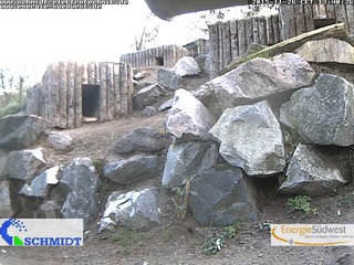 Zoo am Meer - Penguin Cam
