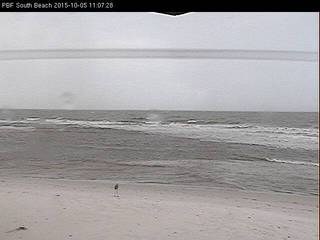 Pelican Bay South Beach Camera