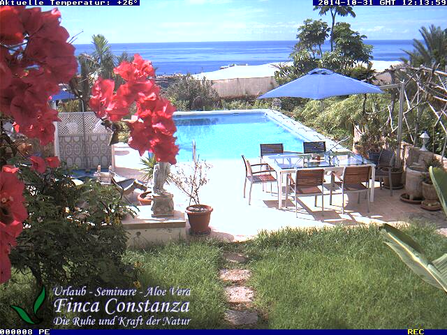 Finca Constanza Pool