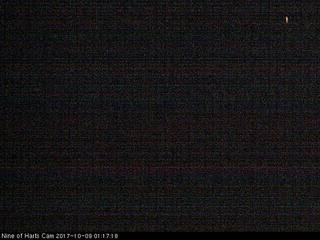 'The Nine of Harts' Vacation Rental Home