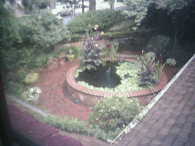 Koi Pond