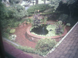 Koi Pond