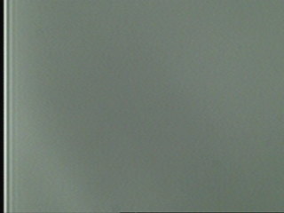 'The Color Pond Cam' 