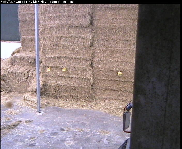 Webcam in Wageningen,Netherlands