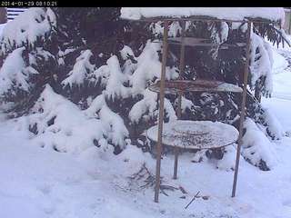 Bird Feeder