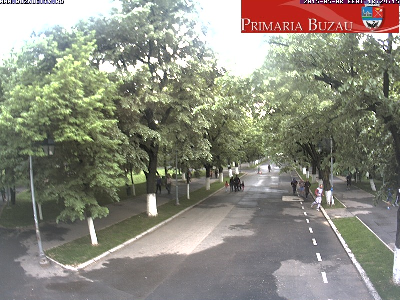 Crang Park from City Hall of Buzau