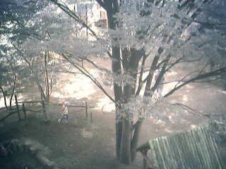 Koseiikujien Nursery School Yard