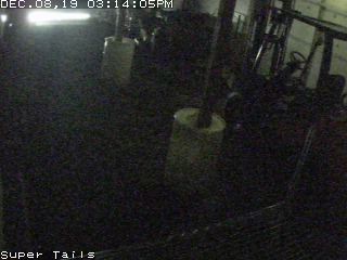 Furry Tales Doggy Daycare