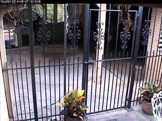 House Cam