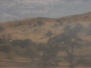 Los Vaqueros Hills from John Muir Interpretive Center