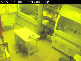 University of Maryland - MEMS Sensors and Actuators Laboratory