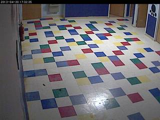 Dog Play Area