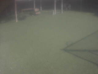 'My Three Dogs' Doggie Daycare 