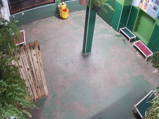 Fog City Dogs - Play Area