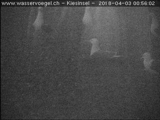 Gravel Island at Seedamm on Lake Zurich