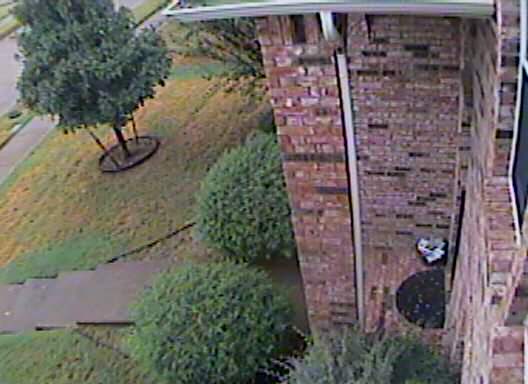 Security Cam